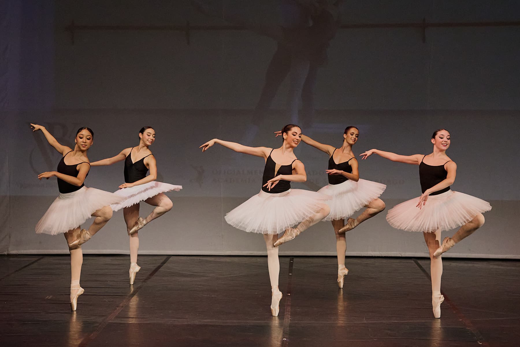 Photos of the performance — foto 1