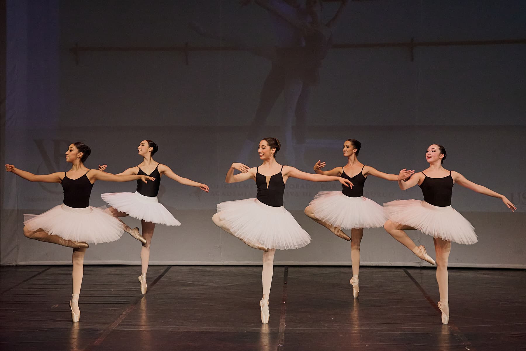 Photos of the performance — foto 12
