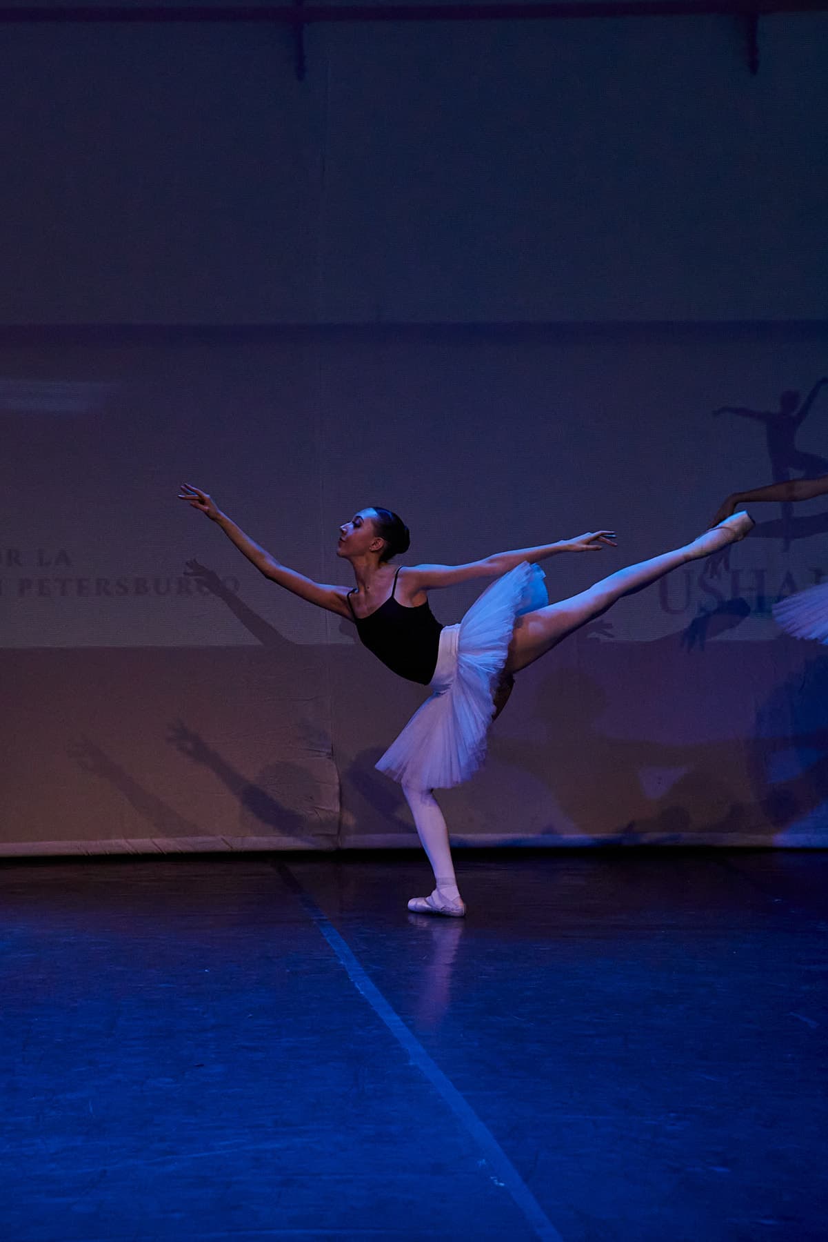 Photos of the performance — foto 42