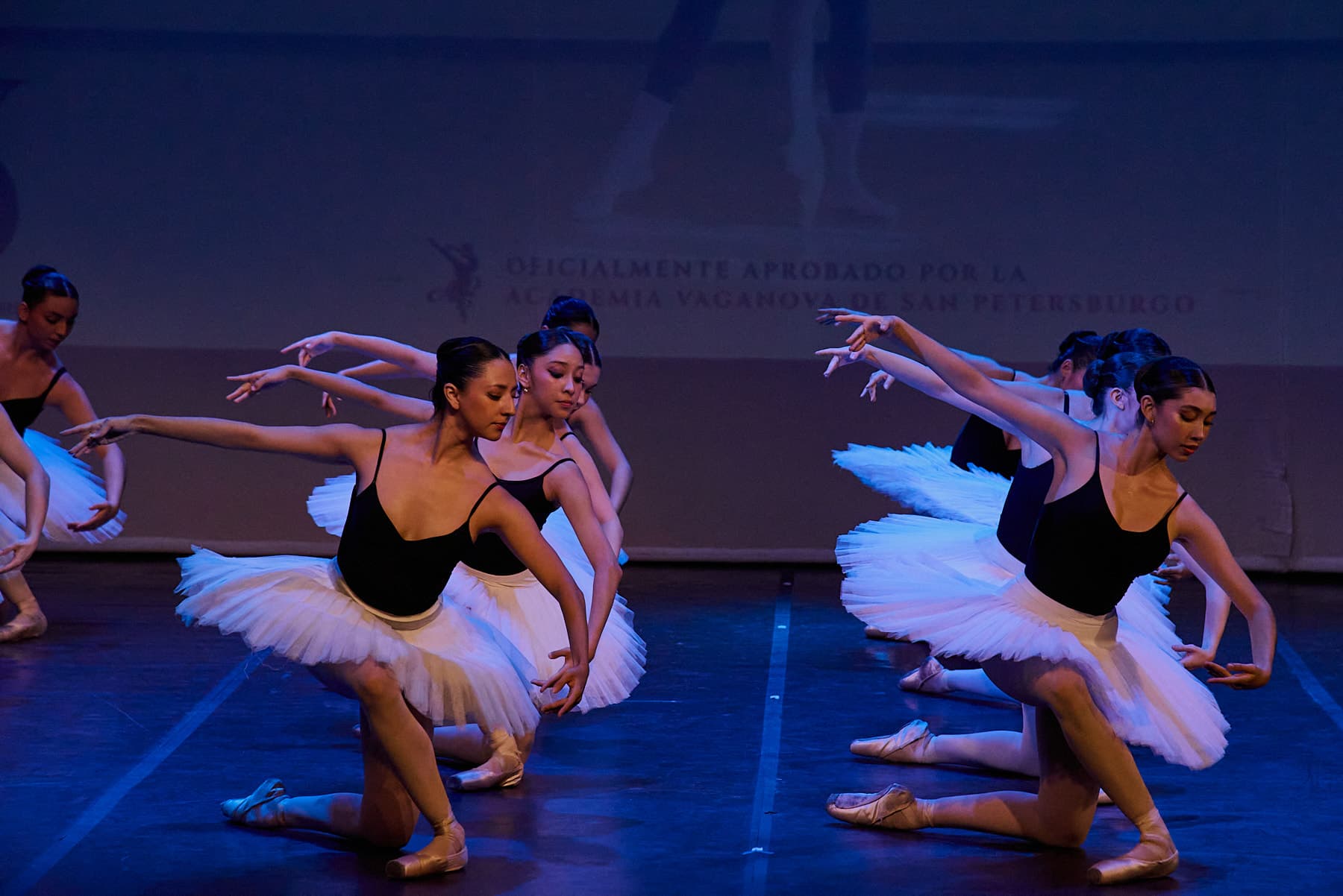 Photos of the performance — foto 43