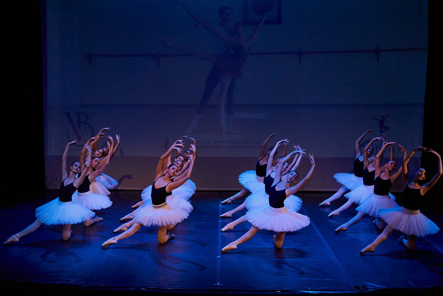 Photos of the performance — foto 46