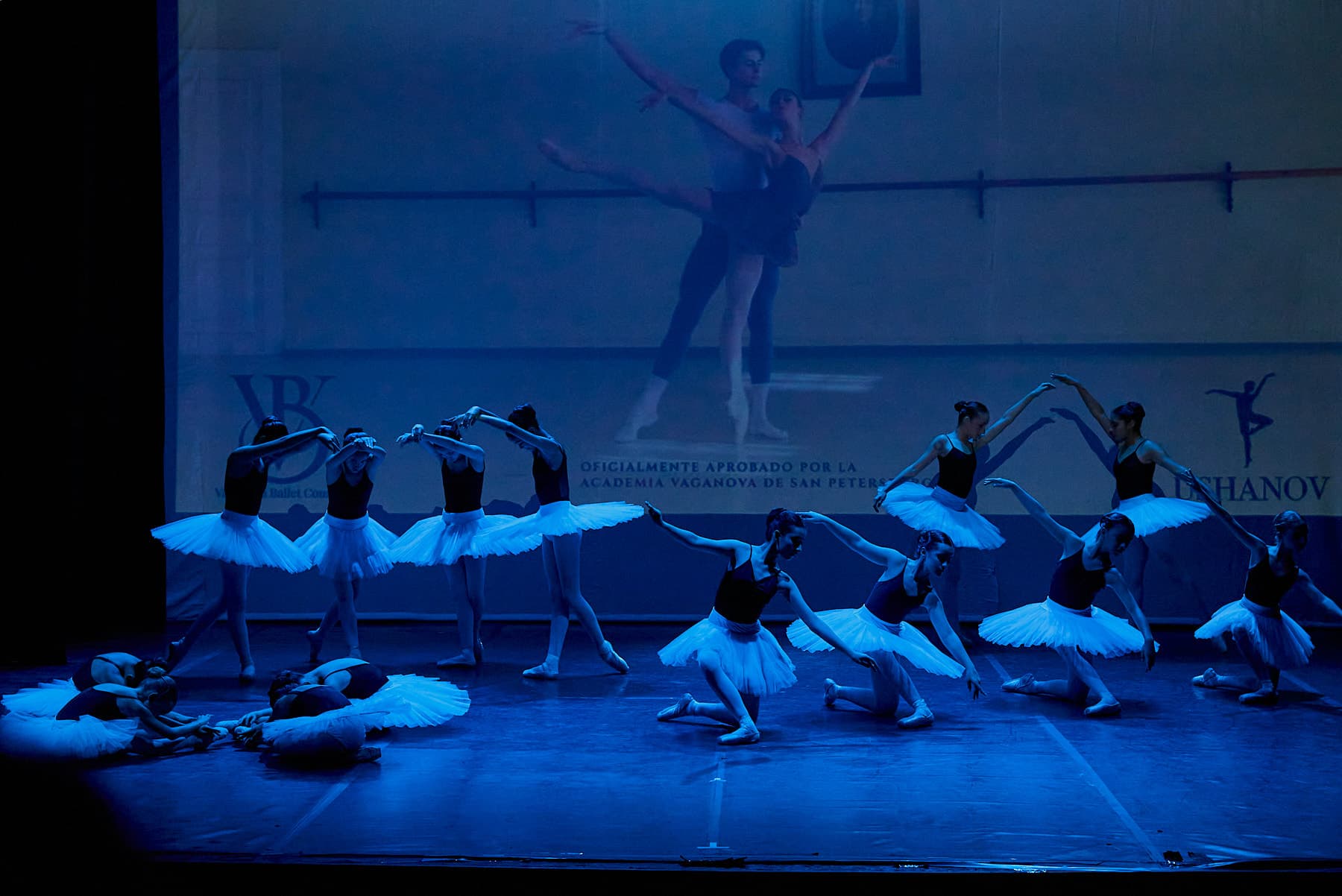 Photos of the performance — foto 65