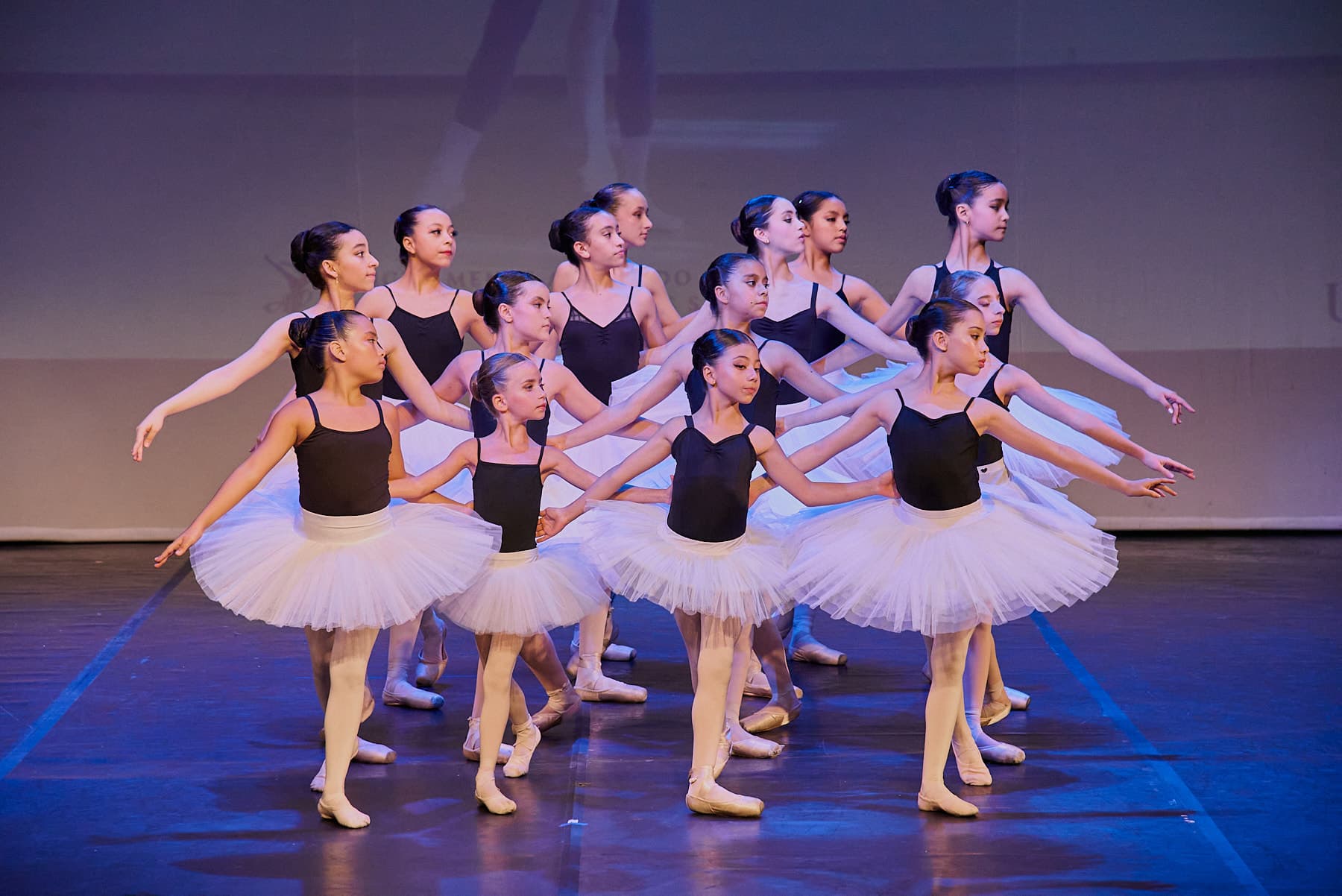 Photos of the performance — foto 101