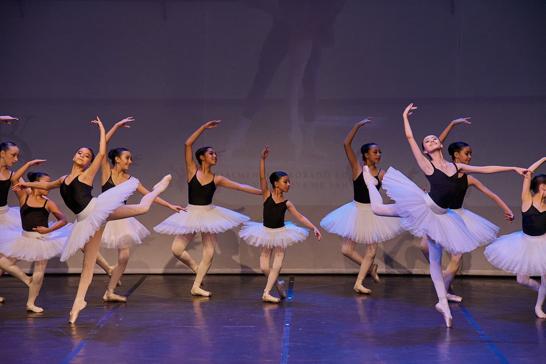 Photos of the performance — foto 103